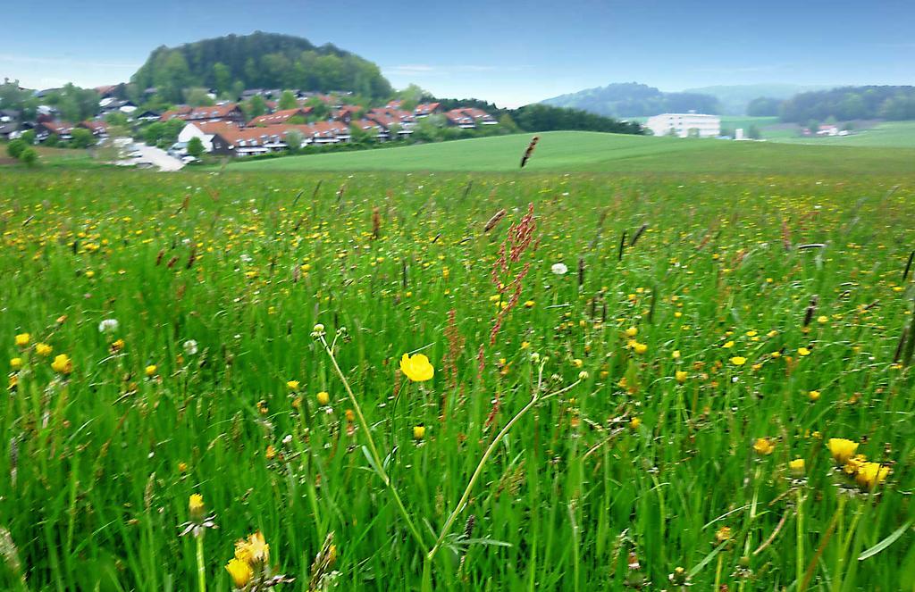 Ferienwohnung Gerda Zandt Exteriör bild