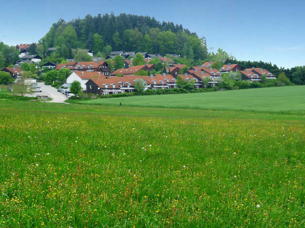 Ferienwohnung Gerda Zandt Exteriör bild